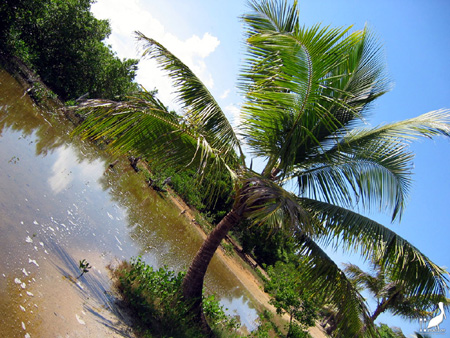 guadeloupe kayak, kayak mer