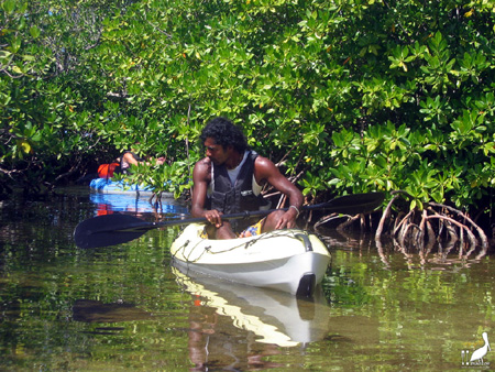 guadeloupe kayak, kayak mer