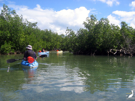 guadeloupe kayak, kayak mer