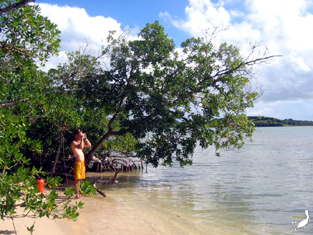 guadeloupe kayak, kayak mer