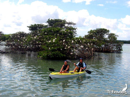 guadeloupe kayak, kayak mer