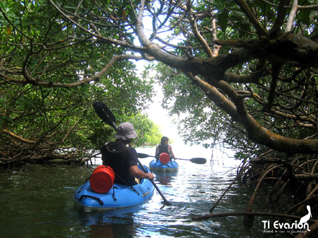 guadeloupe kayak, kayak mer