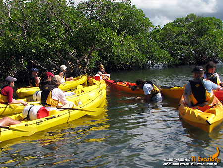 guadeloupe kayak, kayak mer