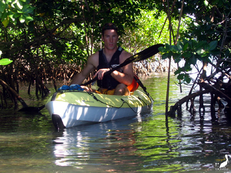 guadeloupe kayak, kayak mer