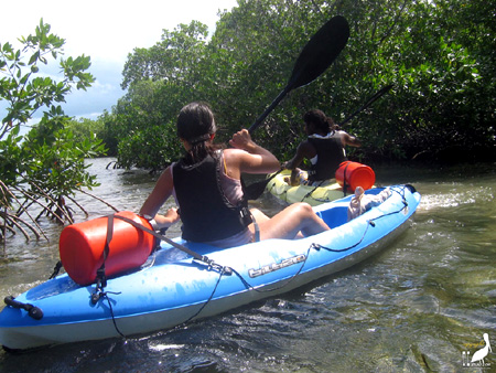 guadeloupe kayak, kayak mer