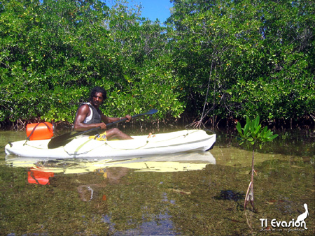 guadeloupe kayak, kayak mer