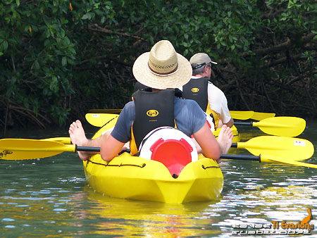 guadeloupe kayak, kayak mer