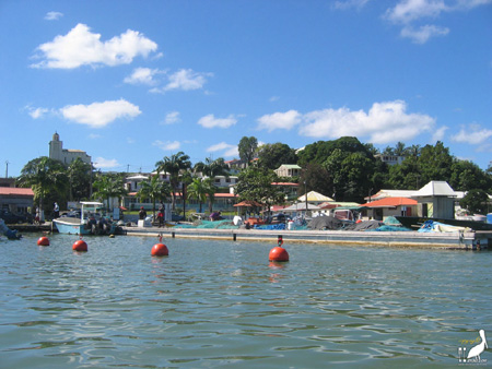 guadeloupe kayak, kayak mer