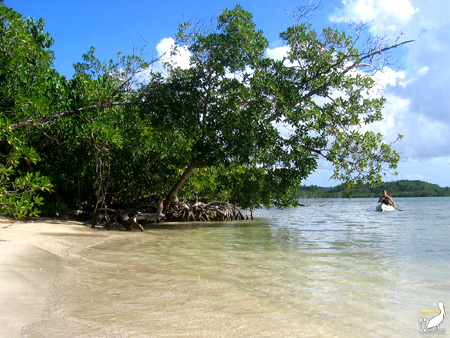 kayak guadeloupe - kayak mer