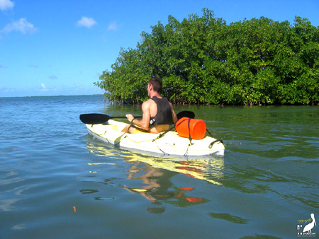 kayak guadeloupe - kayak mer