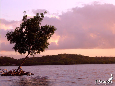 kayak guadeloupe - kayak mer