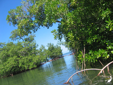 kayak guadeloupe - kayak mer