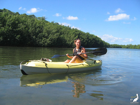 kayak guadeloupe - kayak mer