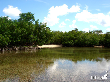 kayak guadeloupe - kayak mer