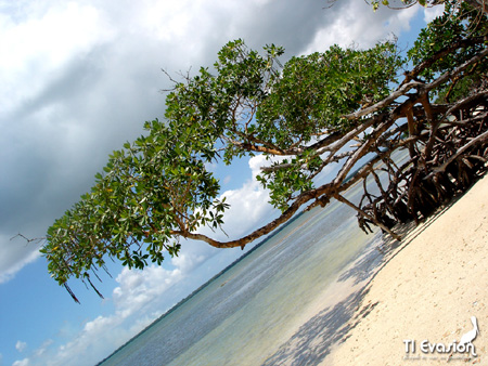 kayak guadeloupe - kayak mer