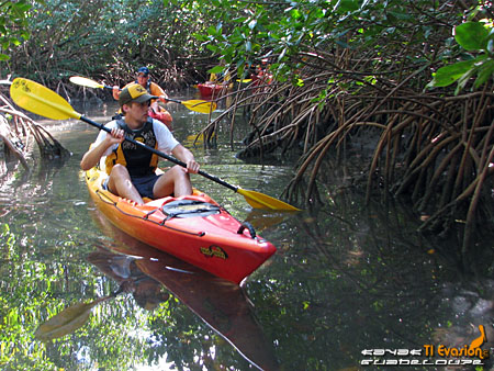 kayak guadeloupe - kayak mer