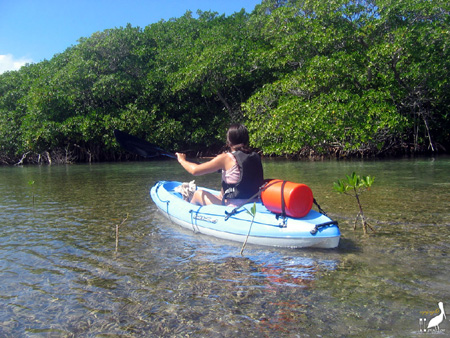 kayak guadeloupe - kayak mer