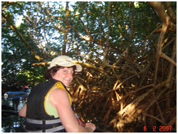 kayak mangrove