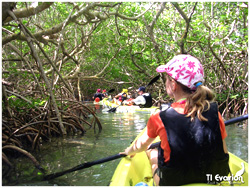 photo mangrove kayak