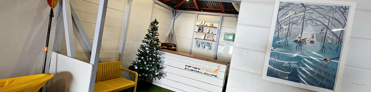 Visite mangrove nature kayak Ti-Evasion Guadeloupe