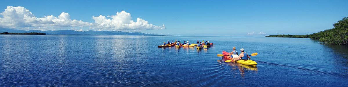 Guadeloupe kayak lagon Eco-Rando : balade en groupe sur eau turquoise entre mangroves et îlets