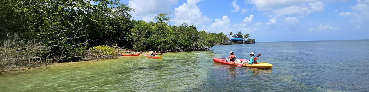 Ti-Evasion kayak Guadeloupe