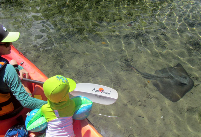 Enfants en kayak observant une raie en Guadeloupe dans une eau cristalline